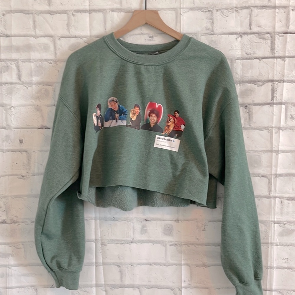 David Dobrik cropped fan hoodie